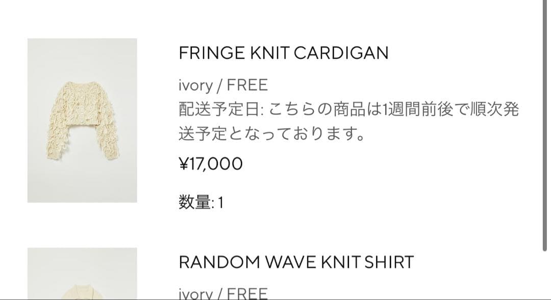トップス Eaphi FRINGE KNIT CARDIGAN ivory