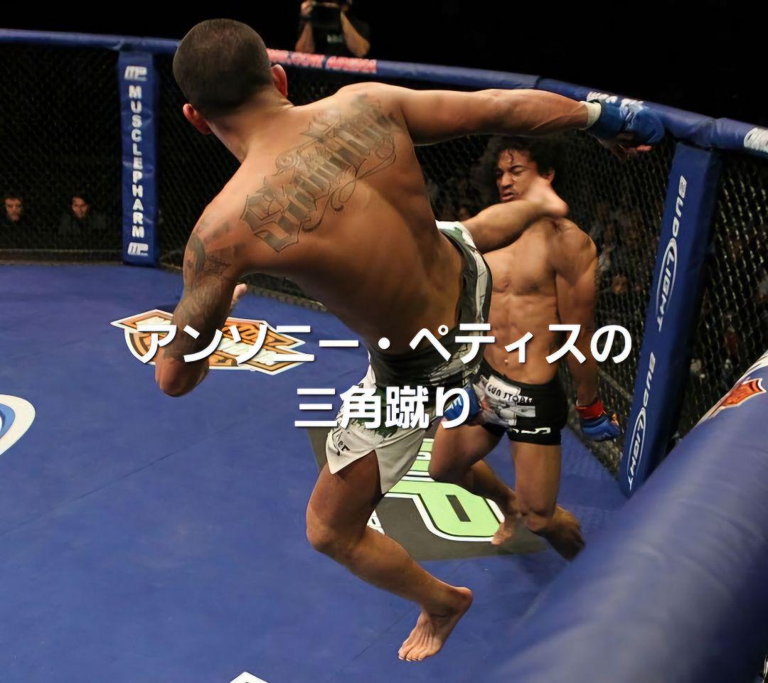 UFC ROUND5 フィギュア WEC版 2体セット