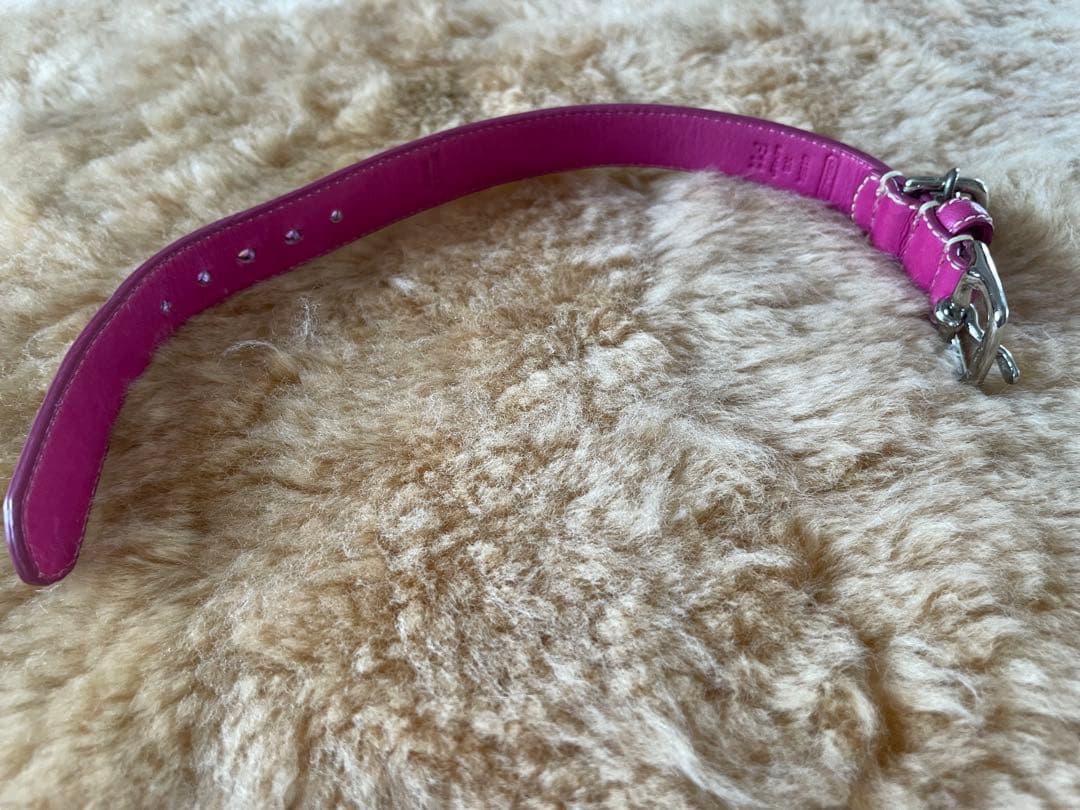 COACH ピンク レザー 首輪とリードセット　XS