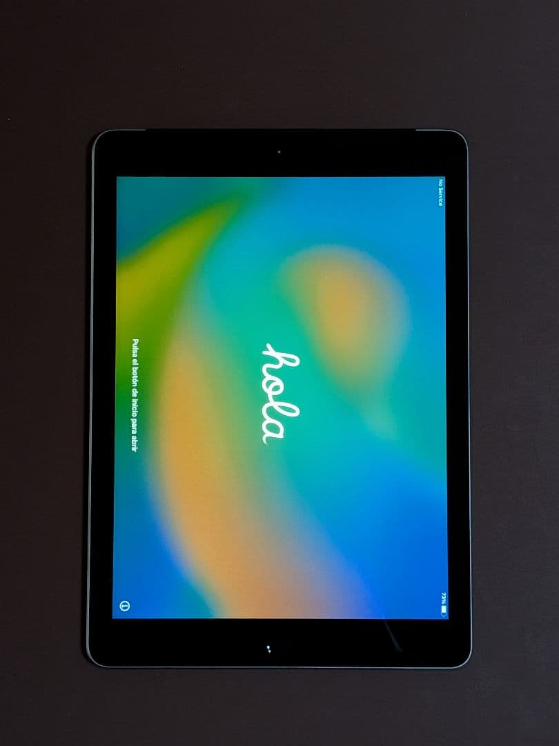 iPad 第5世代 32GB Cellular シルバー 充電器付き 動作良好