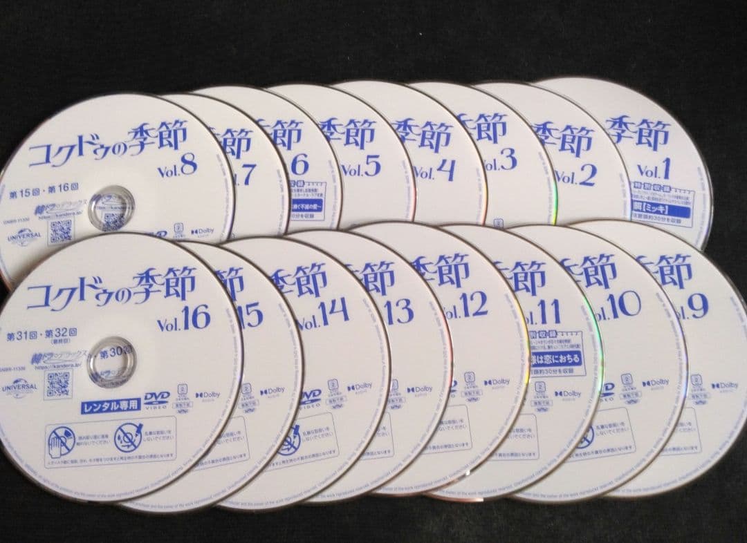 韓国ドラマ　コクドゥの季節 DVD 全巻　キム・ジョンヒョン　レンタル落ち