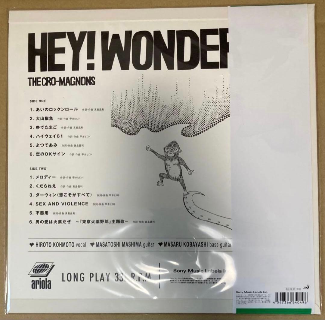 ザ クロマニヨンズ HEY! WONDER 完全生産限定盤レコード盤