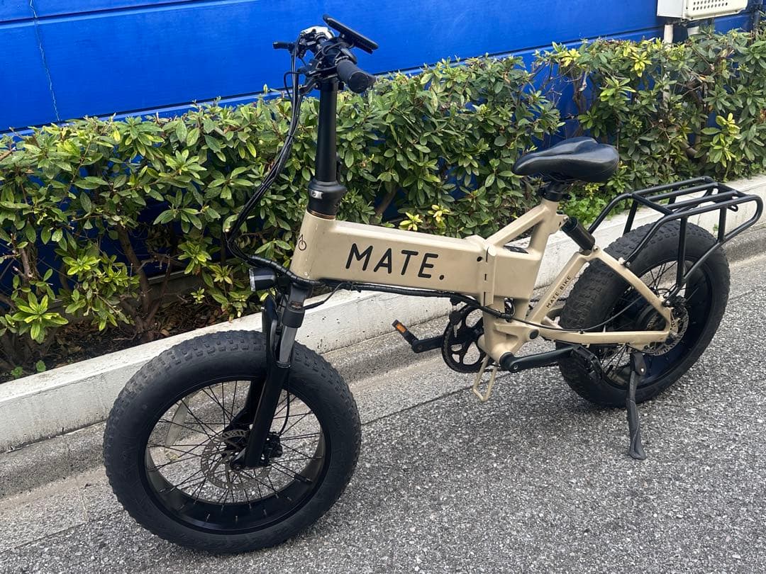 MATE X250 電動 自転車 デザートストーム