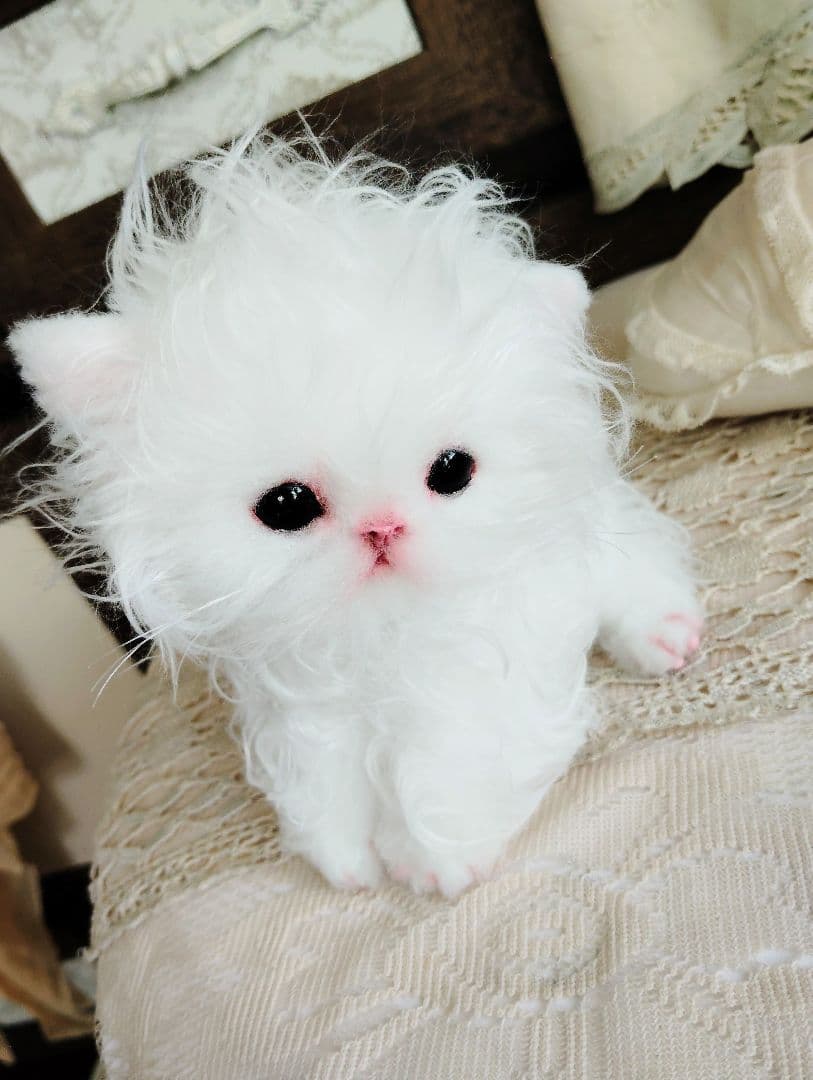セルカークレックス子猫♡よちよち期♡癖っ毛のララちゃん♡アートドール♡ぬいぐるみ