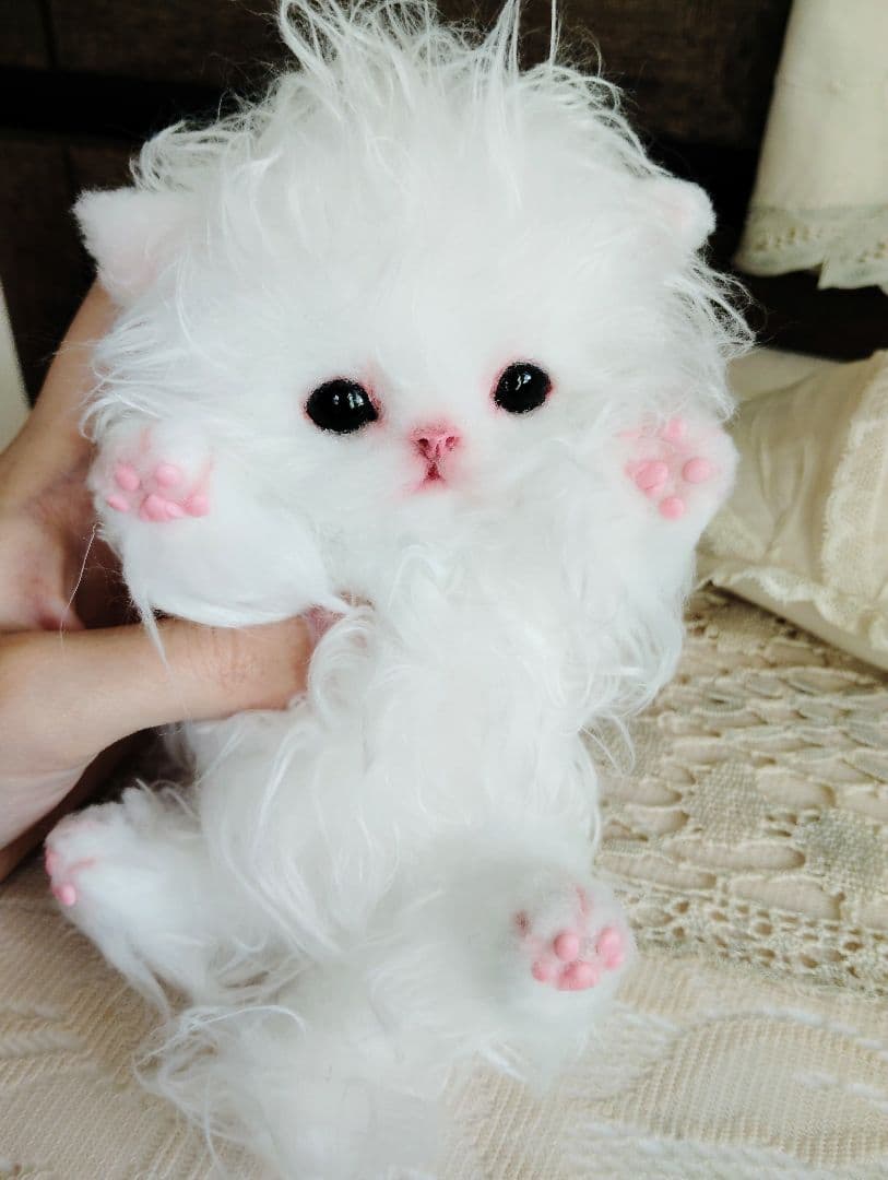 セルカークレックス子猫♡よちよち期♡癖っ毛のララちゃん♡アートドール♡ぬいぐるみ