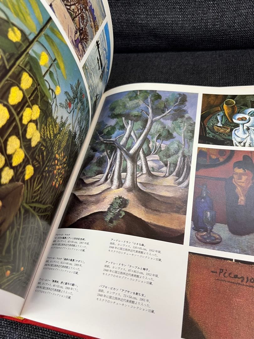 エルミタージュ美術館 図録 ボリス・B・ピオトロフスキー著 1997年　アート本