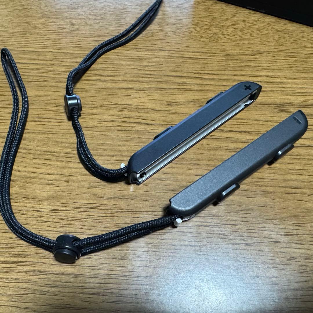 Nintendo Switch 本体+付属品+カセット２つ