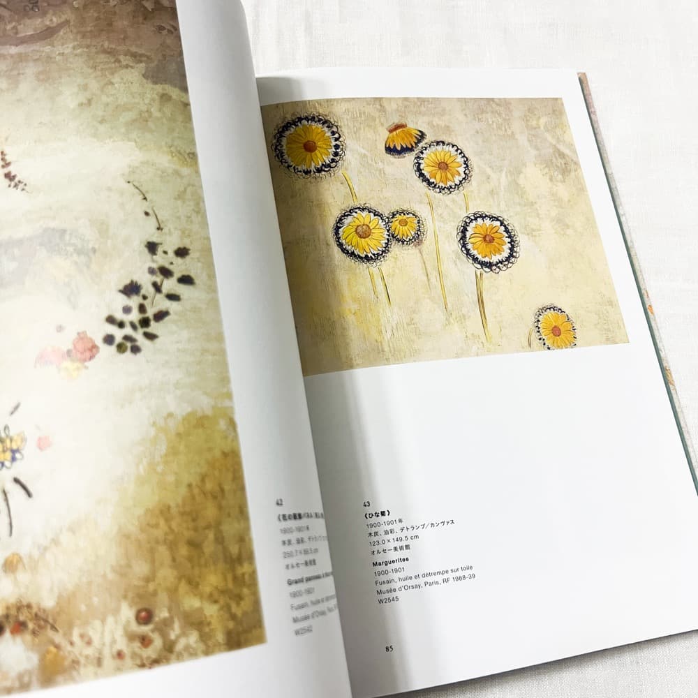 Odilon Redon/ オディロン・ルドン, ルドン ー秘密の花園 図録.