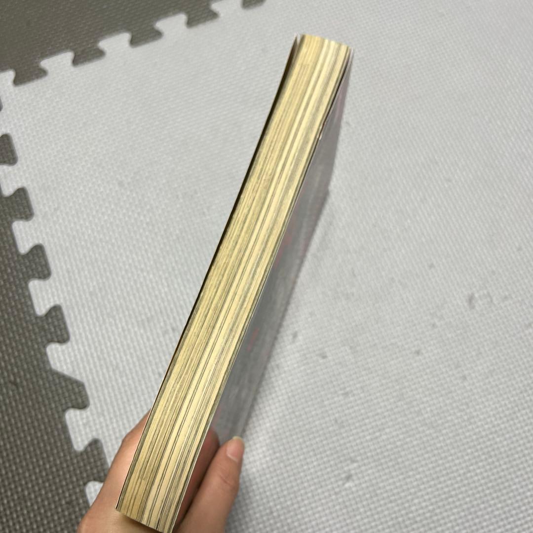 月刊IKKI ドロヘドロ 林田球 2006年7月号 表紙 本誌 切り抜き