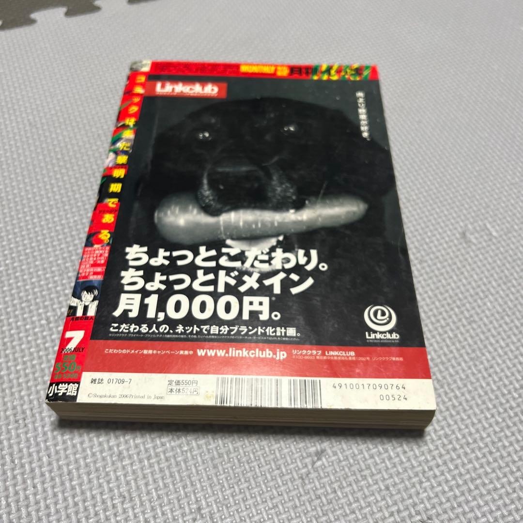 月刊IKKI ドロヘドロ 林田球 2006年7月号 表紙 本誌 切り抜き