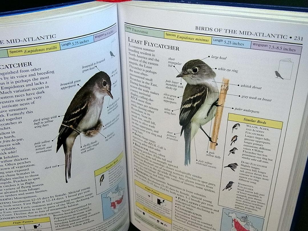 洋書 中部大西洋の鳥類図鑑 Birds of the Mid-Atlantic