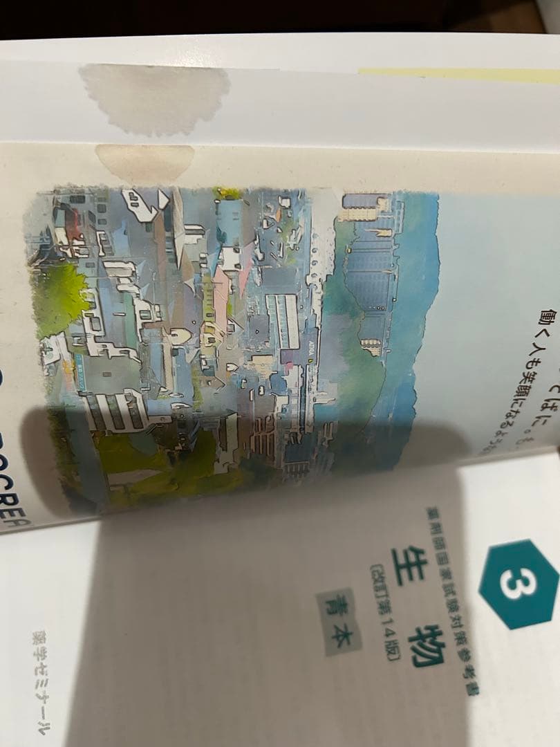 110回　薬剤師国家試験対策参考書　改訂第14版　青問　薬ゼミ