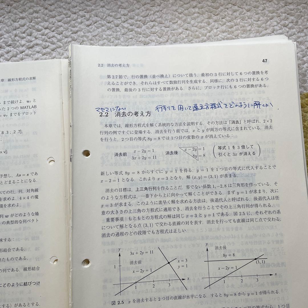ラング　解析入門　ストラング　線形代数　NAIST 参考書セット