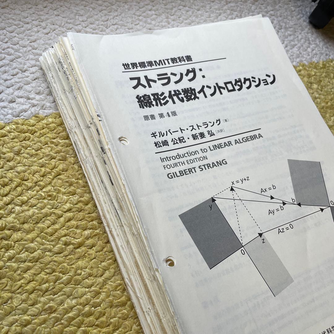 ラング　解析入門　ストラング　線形代数　NAIST 参考書セット