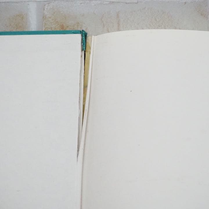 4403. アメリカ 車 50年代 洋書 本