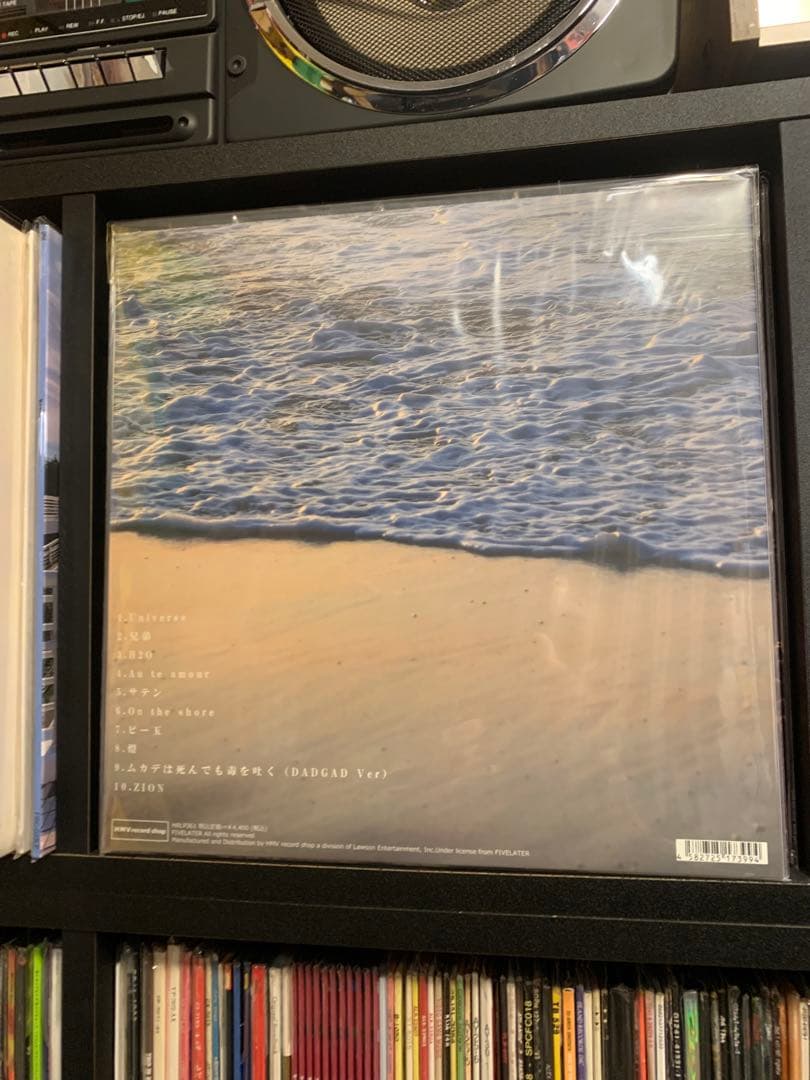踊ってばかりの国　on the shore レコード　新品未使用