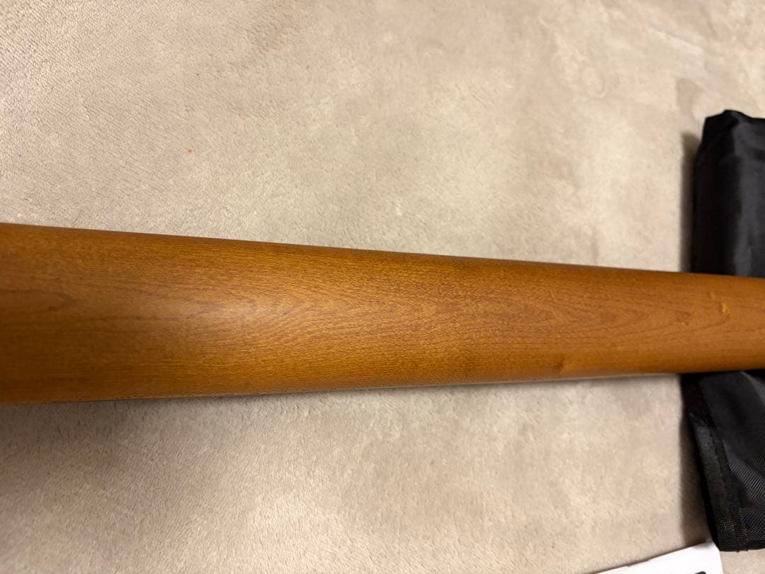【美品】Ibanez TOD10 ソフトケース付き