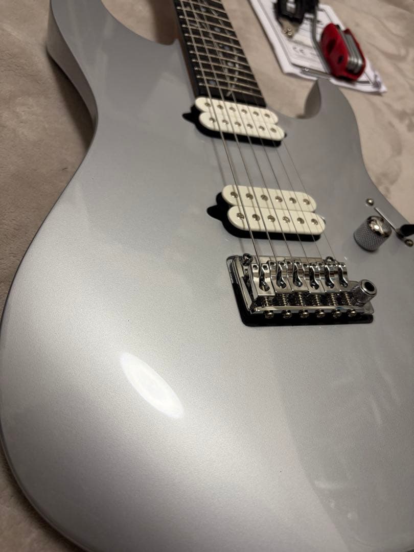 【美品】Ibanez TOD10 ソフトケース付き