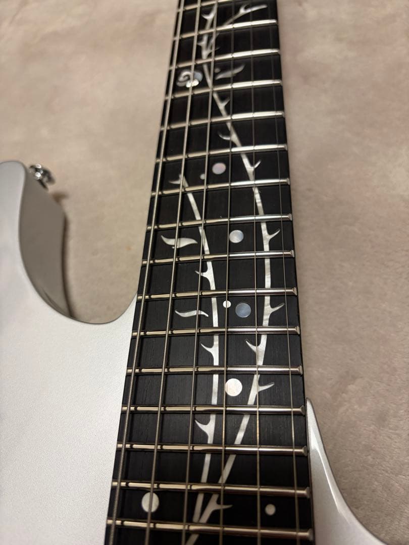 【美品】Ibanez TOD10 ソフトケース付き