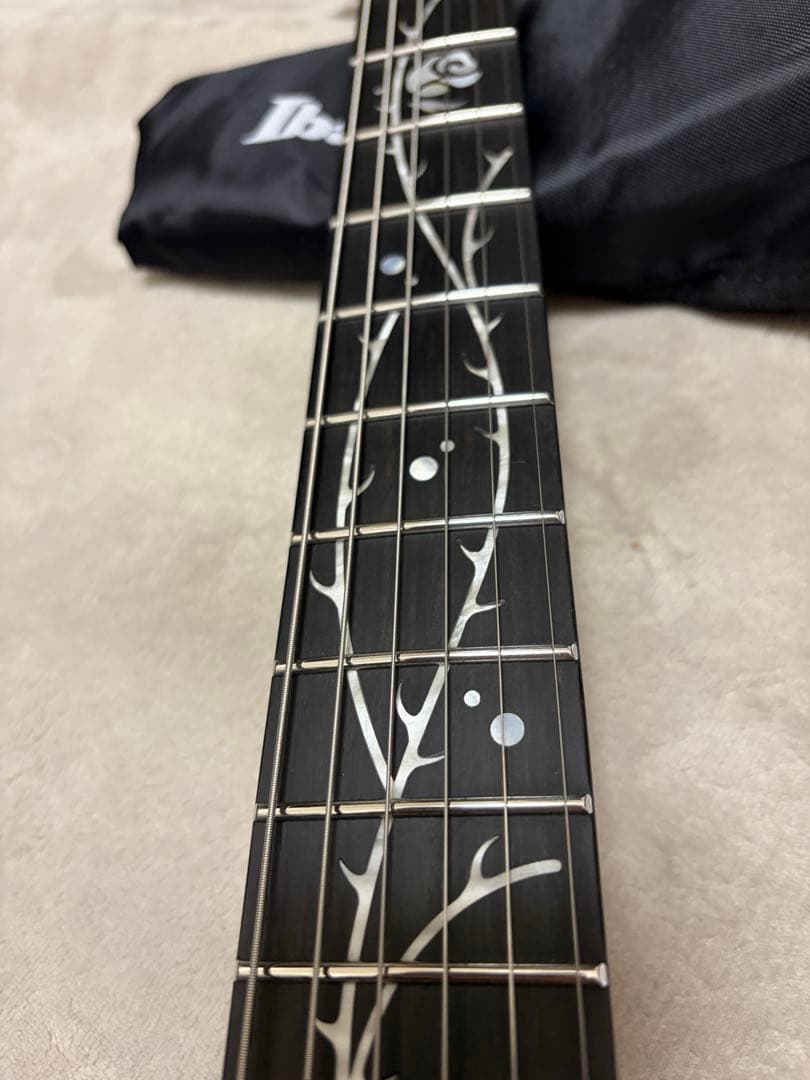 【美品】Ibanez TOD10 ソフトケース付き