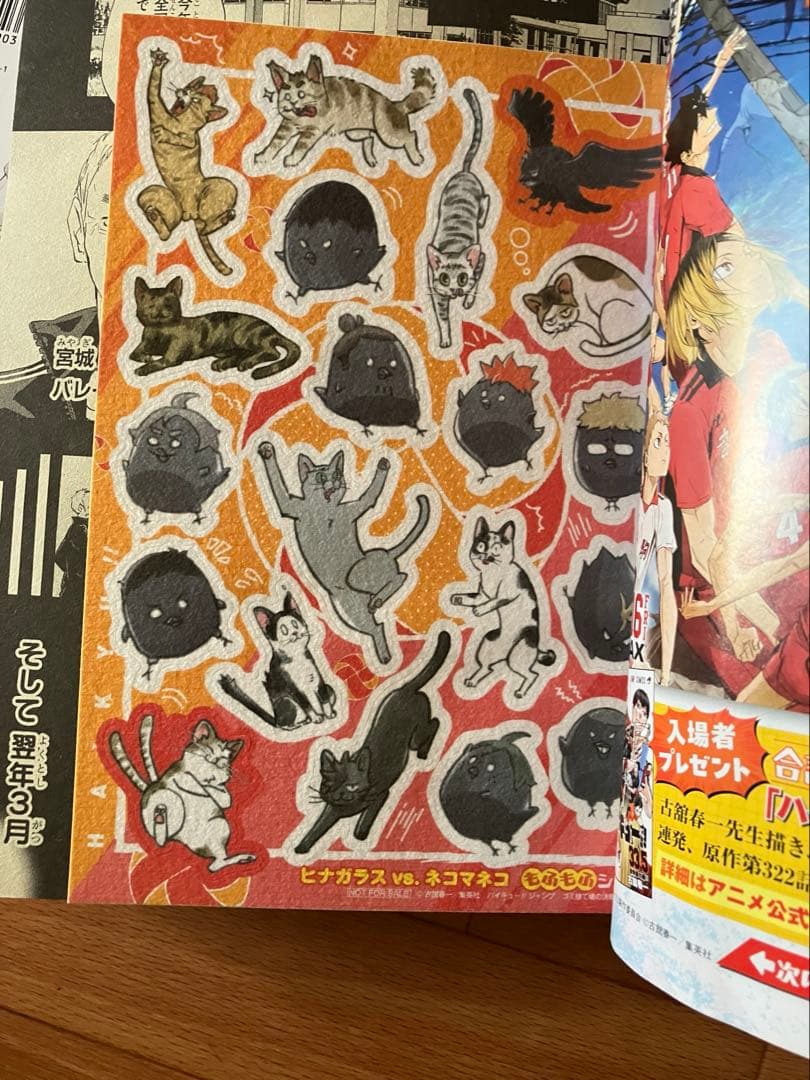 ハイキュー！！ 関連本まとめ売り