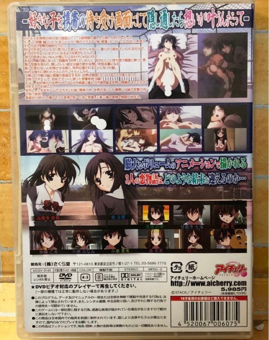 School Days DVD 4枚組 フルアニメーション　廃盤　貴重　ゲーム