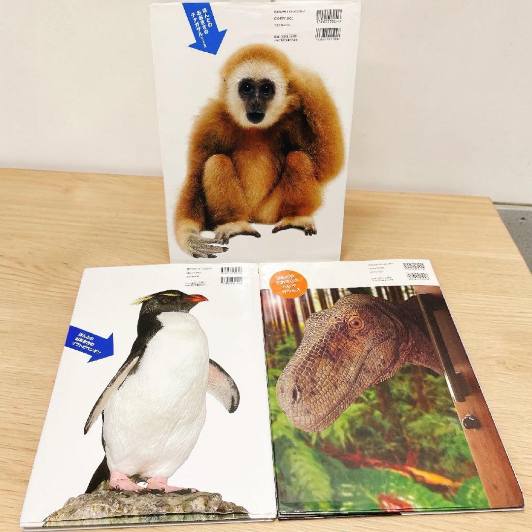 ほんとのおおきさ動物園、水族館、恐竜博　3冊セット