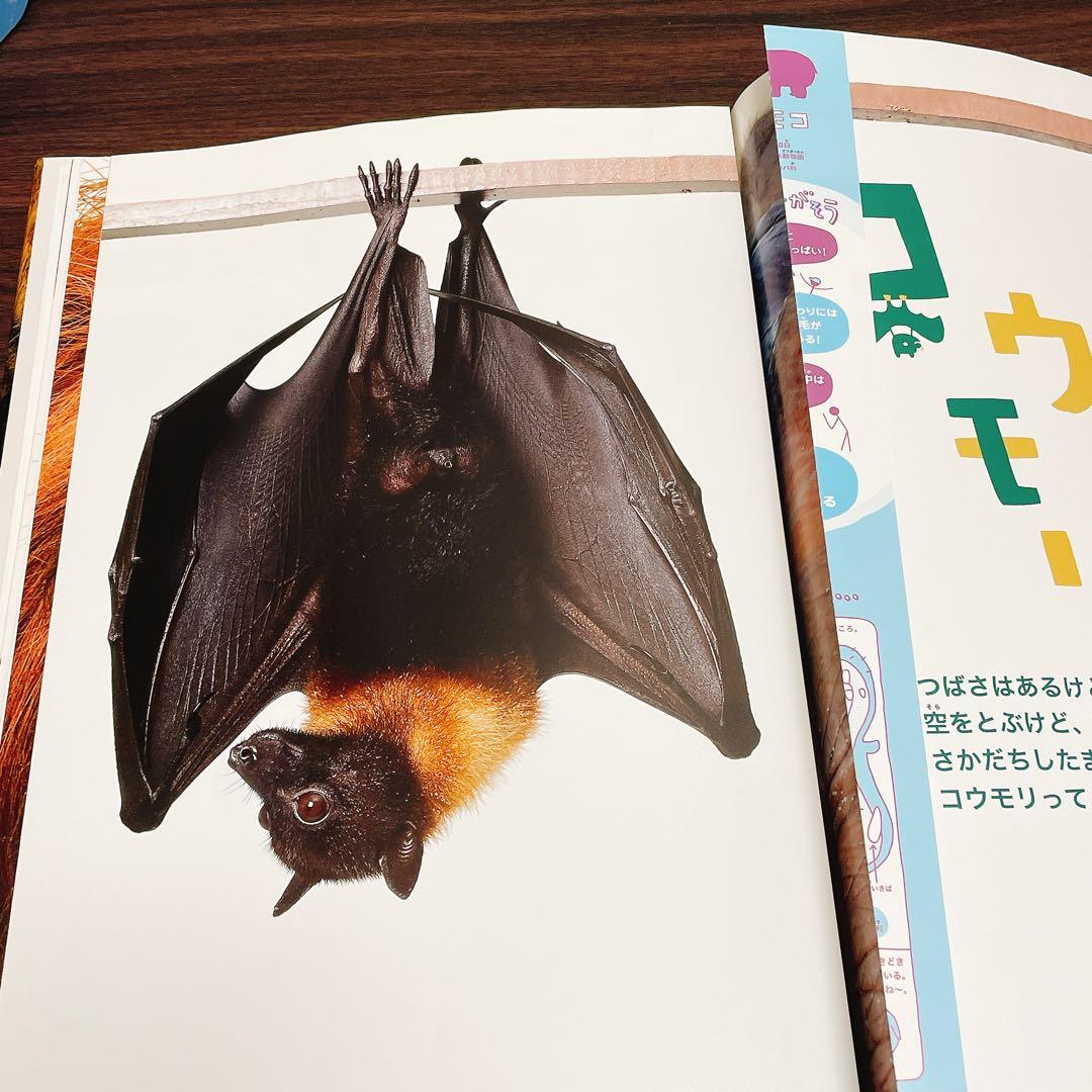 ほんとのおおきさ動物園、水族館、恐竜博　3冊セット