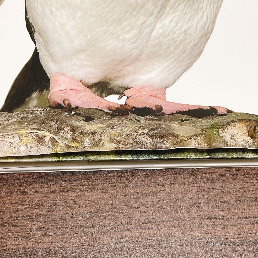 ほんとのおおきさ動物園、水族館、恐竜博　3冊セット