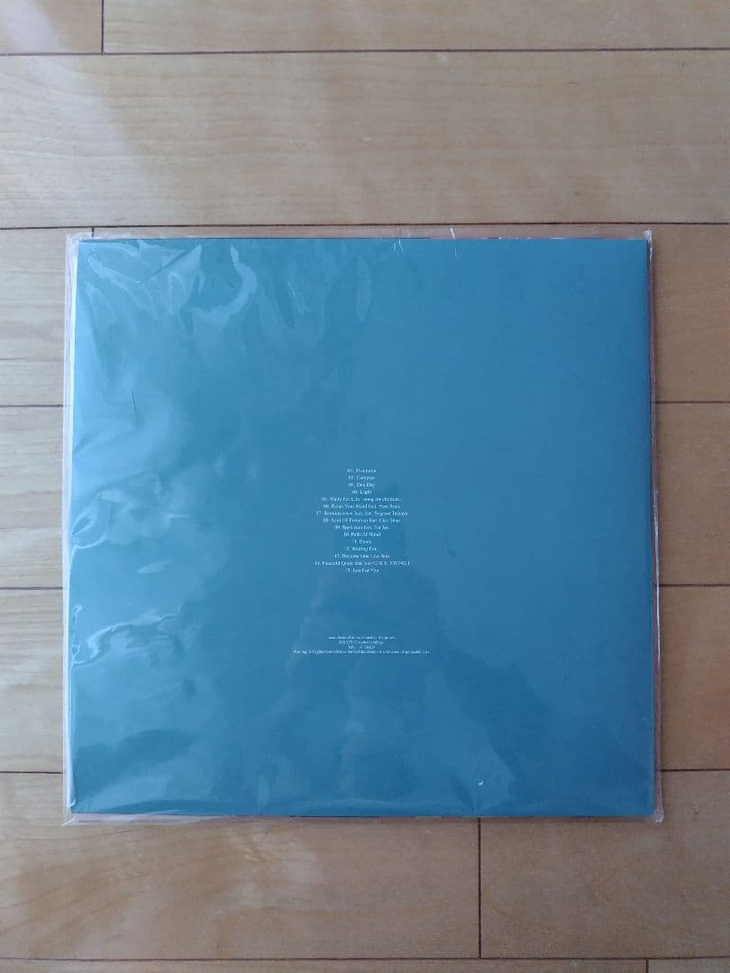 Uyama Hiroto / Freedom of the son レコード