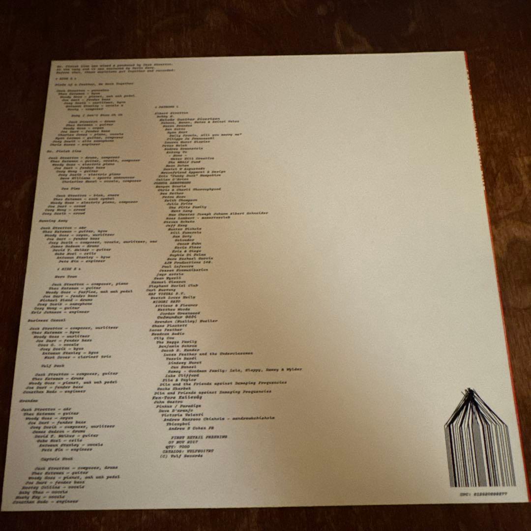 VULFPECK MR FINISH LINE レコード LP