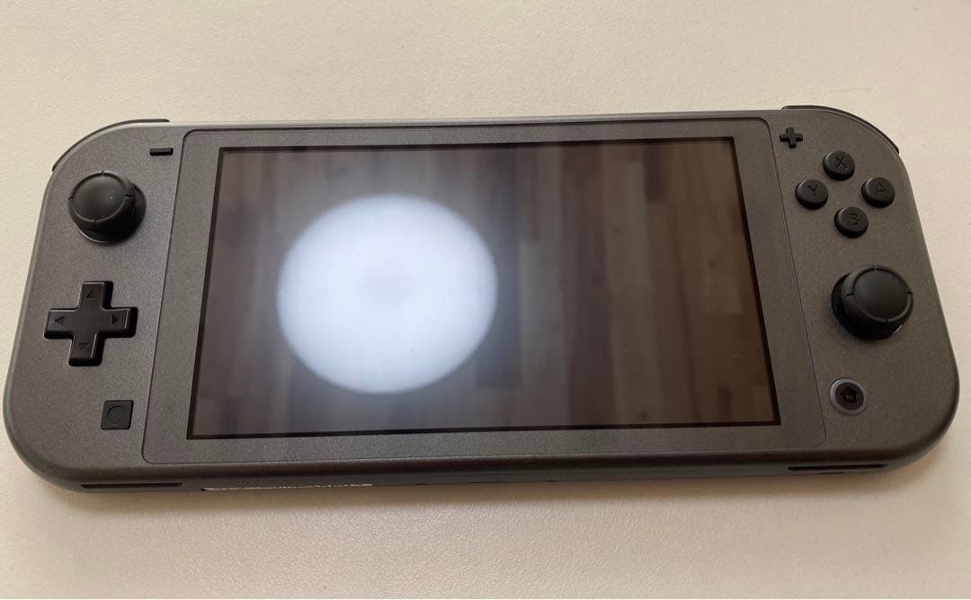 任天堂 Nintendo Switch Lite ディアルガ・パルキア