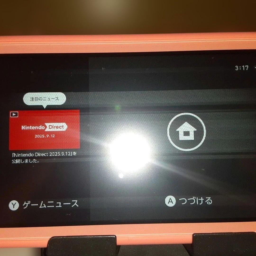 Nintendo Switch Lite 本体　(ジャンク品)