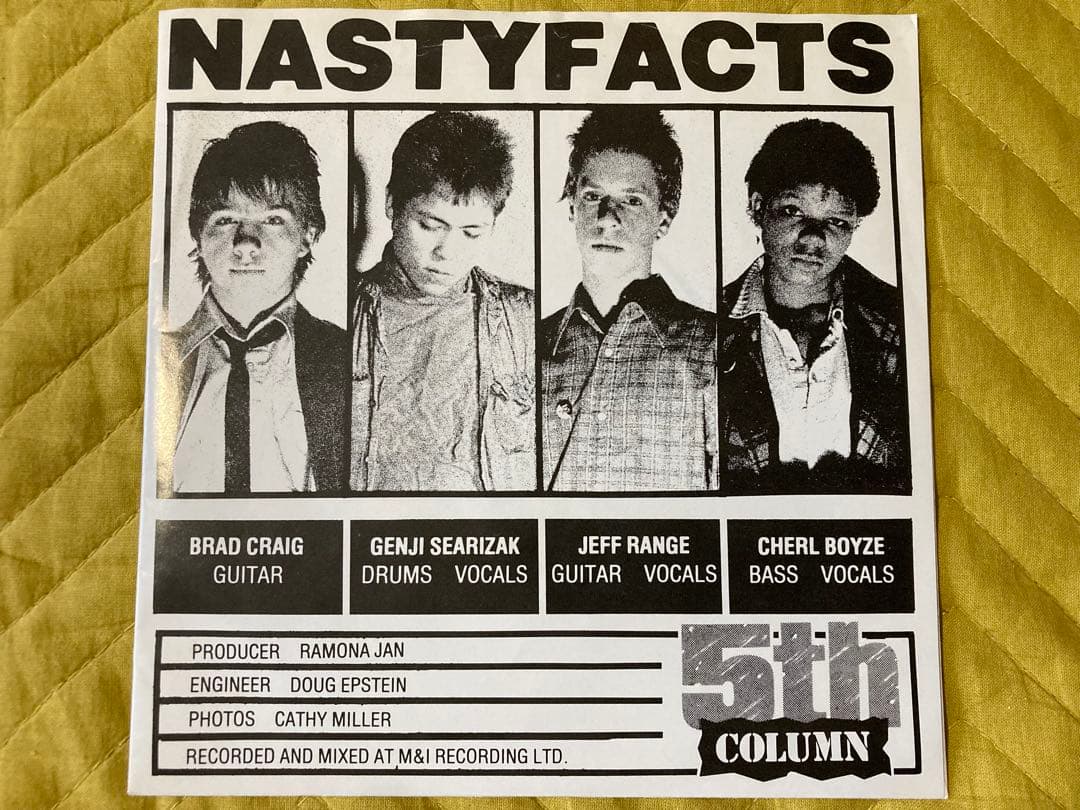 NASTY FACTS 7インチ us punk パンク天国　powerpop