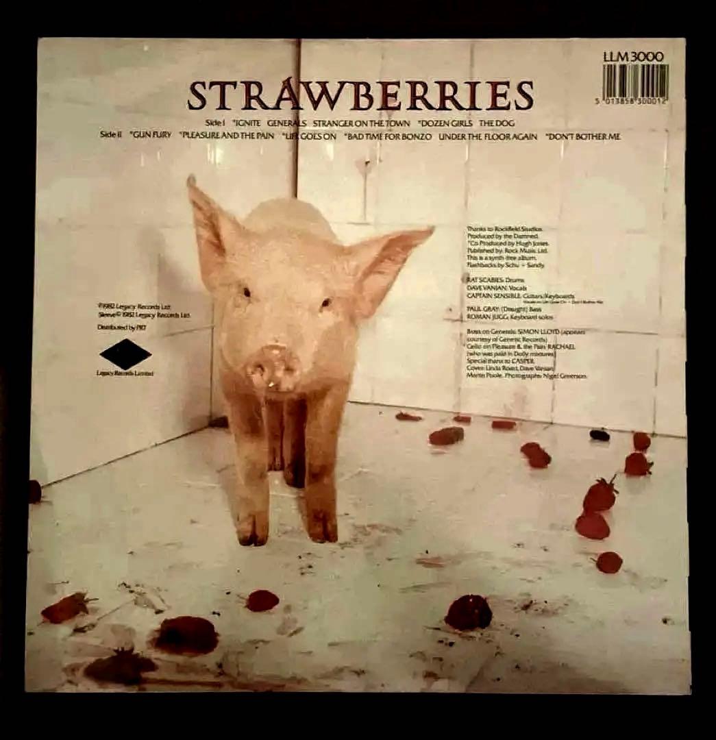 THE DAMNED STRAWBERRIES アナログレコード盤 レコード