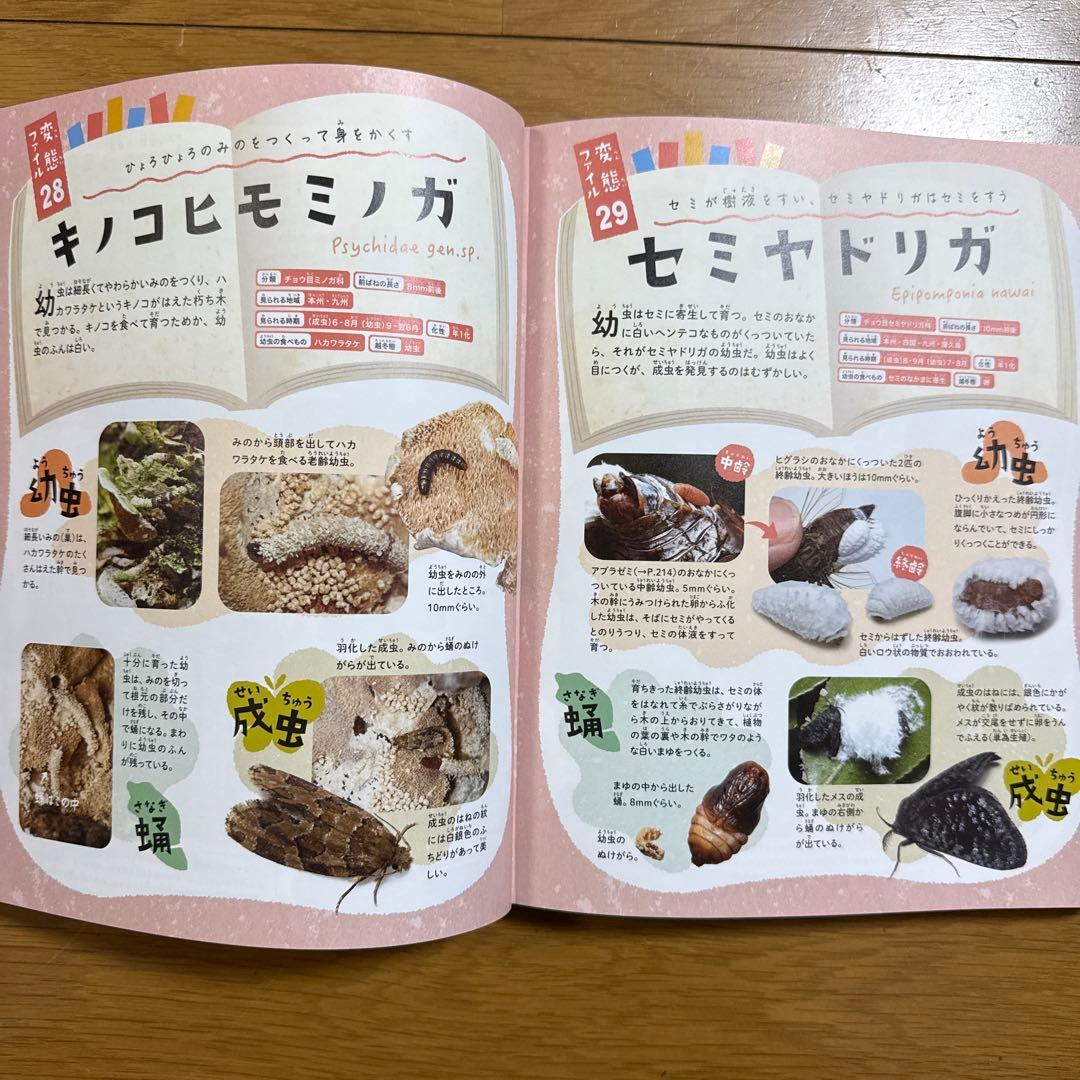 生きかたイロイロ! 昆虫変態図鑑