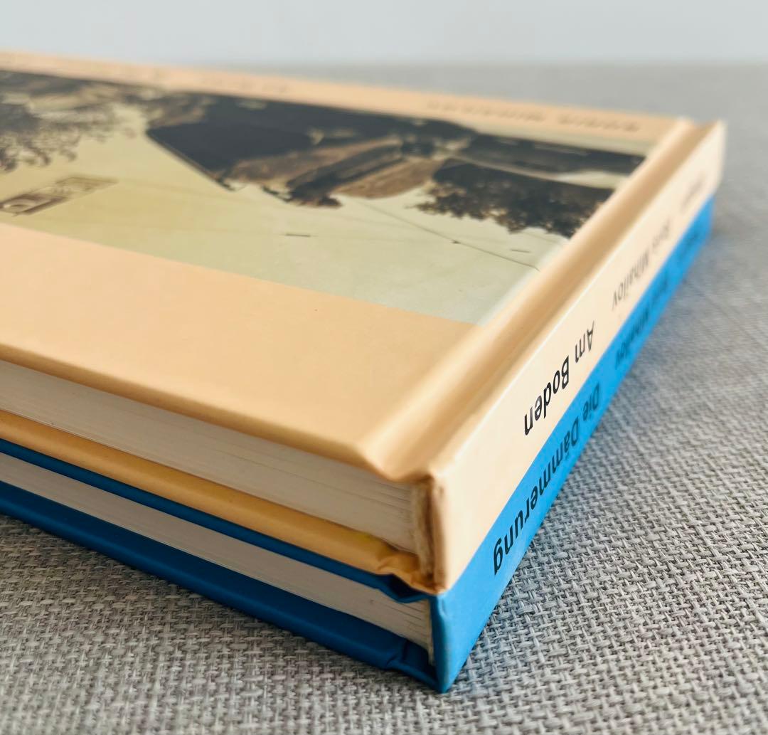 アート・デザイン・音楽 Boris Mikhailov /At Dusk & By the Ground