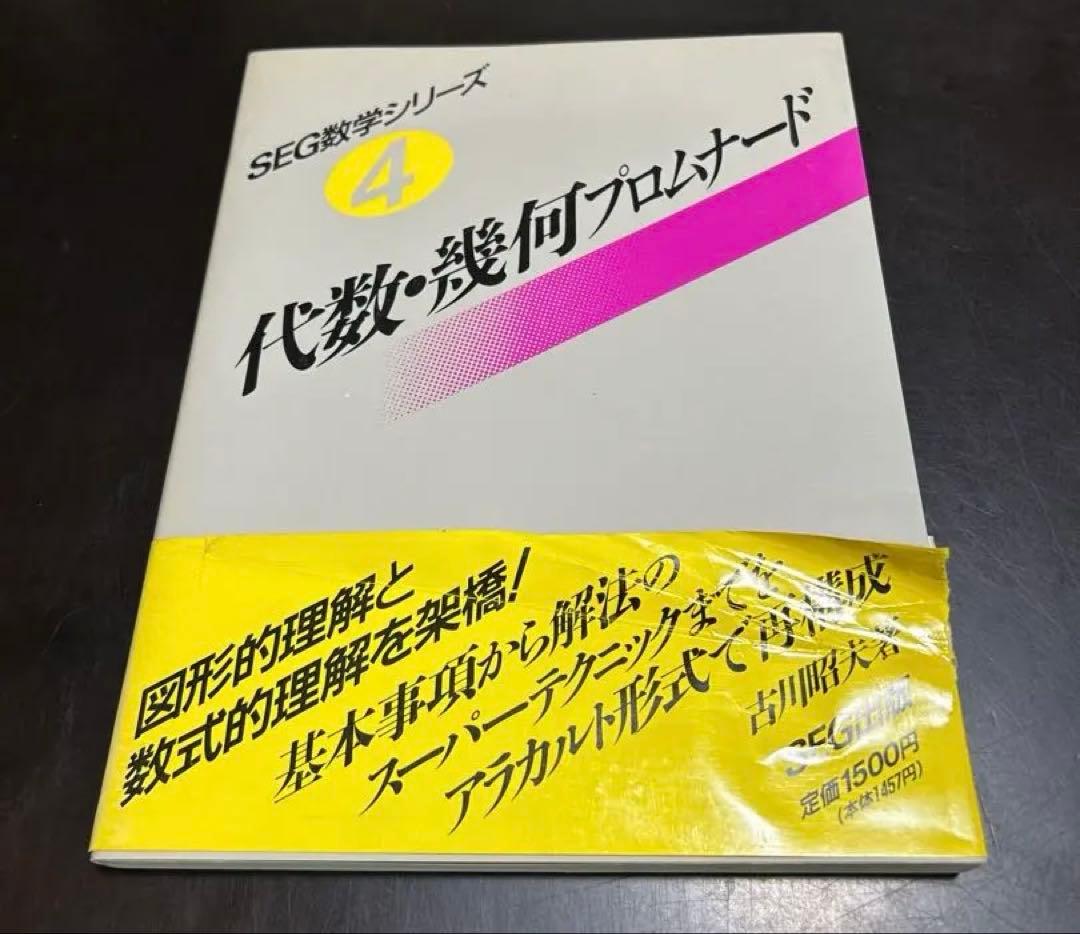 【初版】代数・幾何プロムナード　SEG数学シリーズ 4