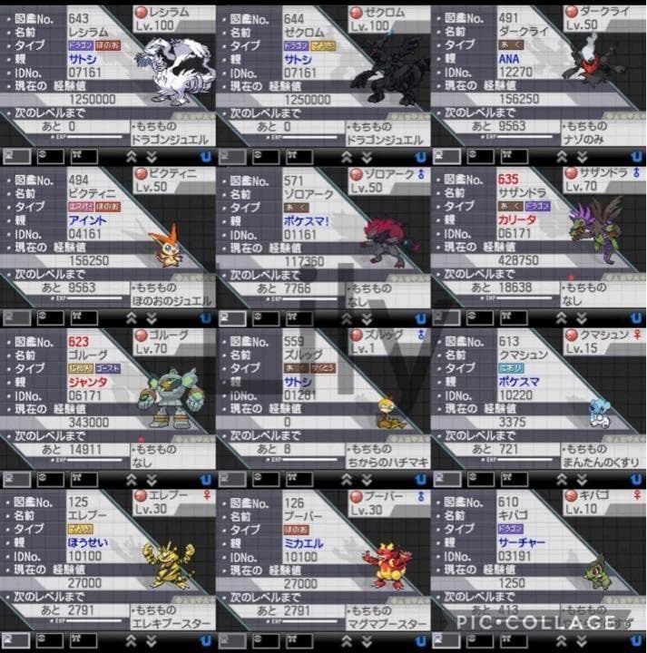 【ポケモン】ブラック2 配信 6vメタモン付き 道具完備 ポケットモンスター