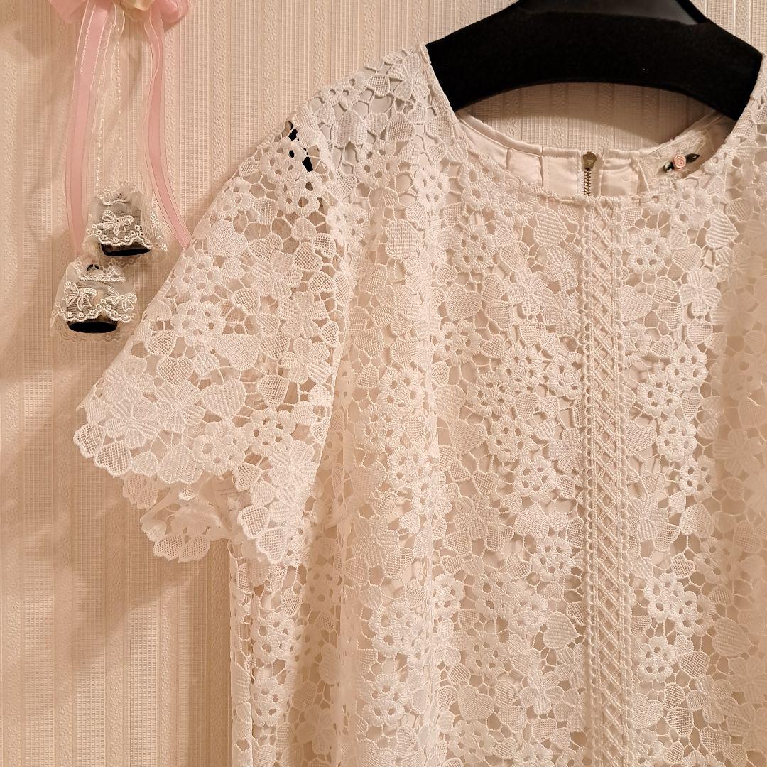 新品 洗える 総レースワンピース ローズティアラ 大きいサイズ 46