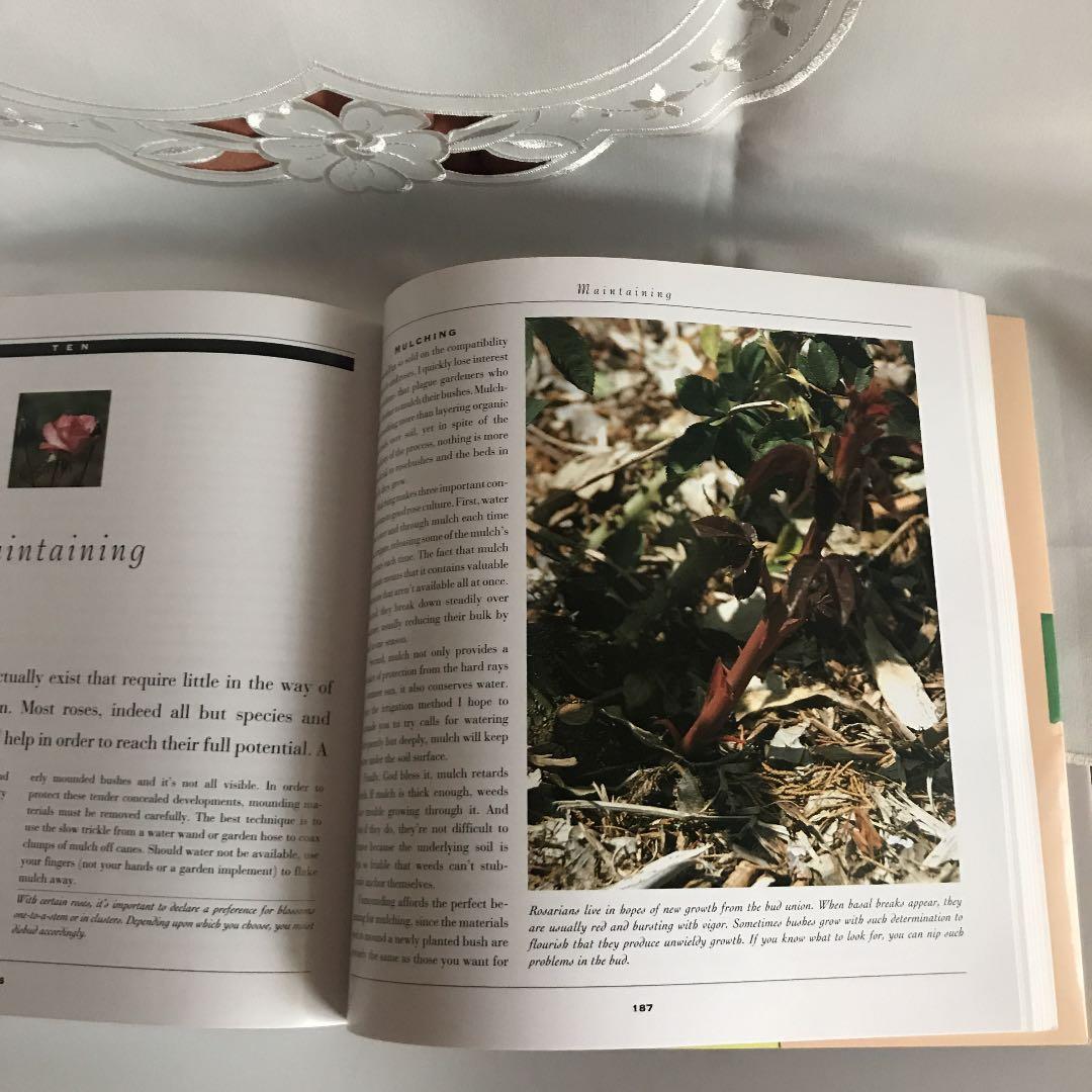 洋書 THE ROSE BIBLE