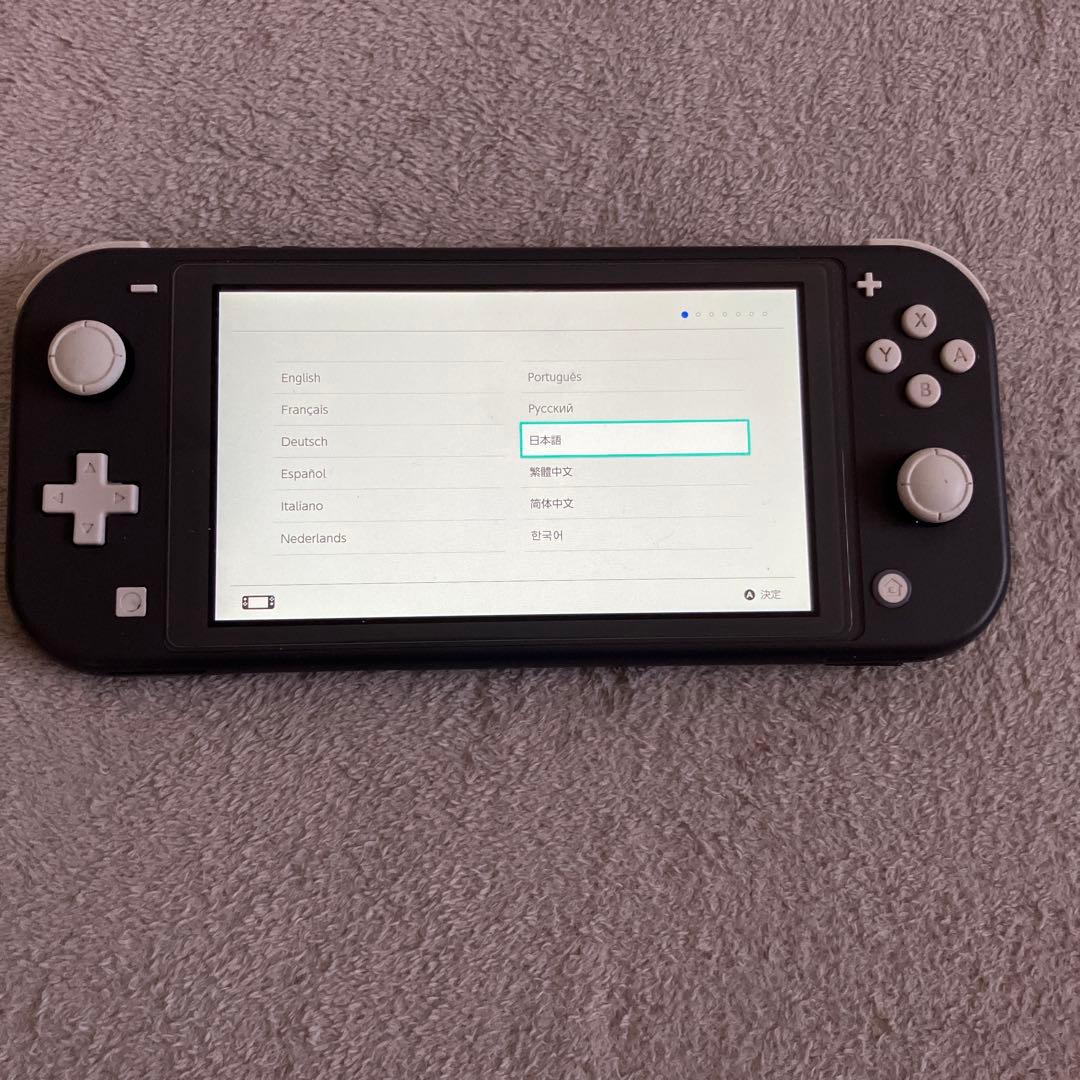 Nintendo Switch Lite グレー　 ケース付き