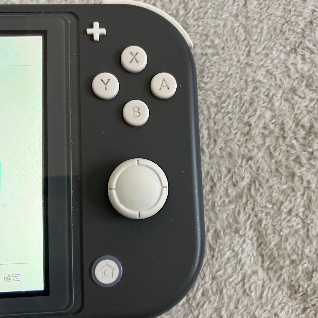 Nintendo Switch Lite グレー　 ケース付き