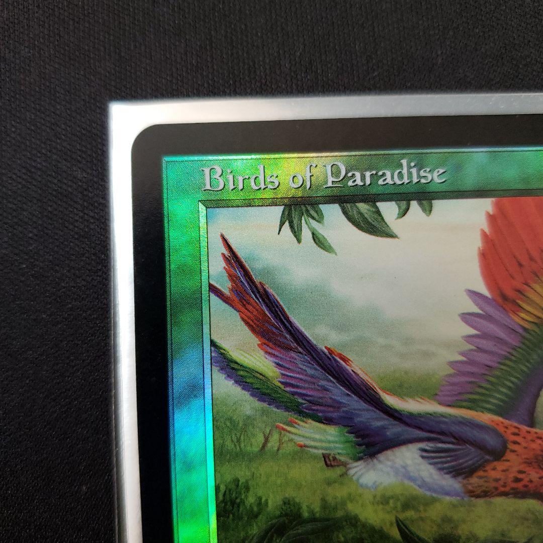 極楽鳥 MTG 7版 英語版 Foil Edward先生 サインド