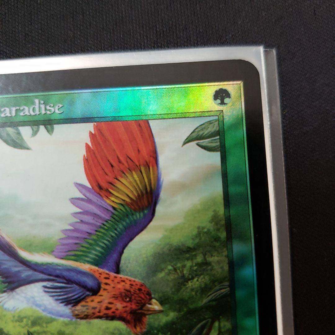 極楽鳥 MTG 7版 英語版 Foil Edward先生 サインド