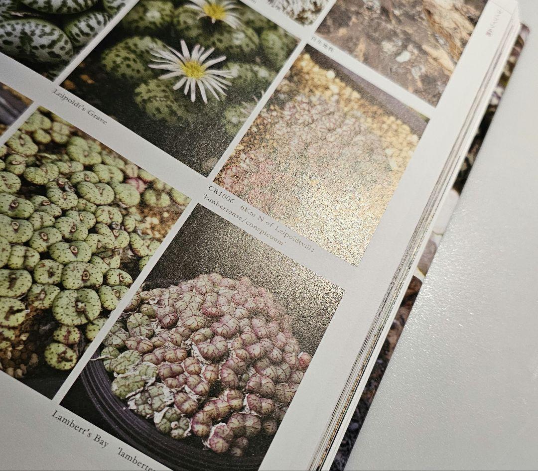 コノフィツム全書