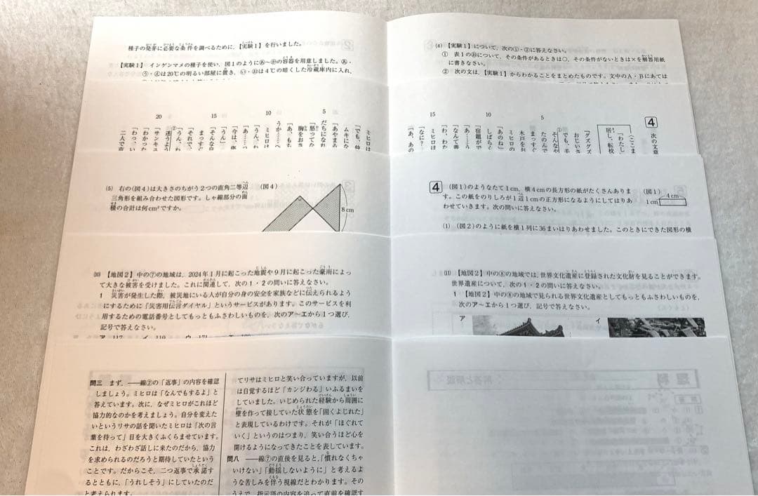 SAPIX 2025年1月新5年(現4年)入室組分けテスト(原本)