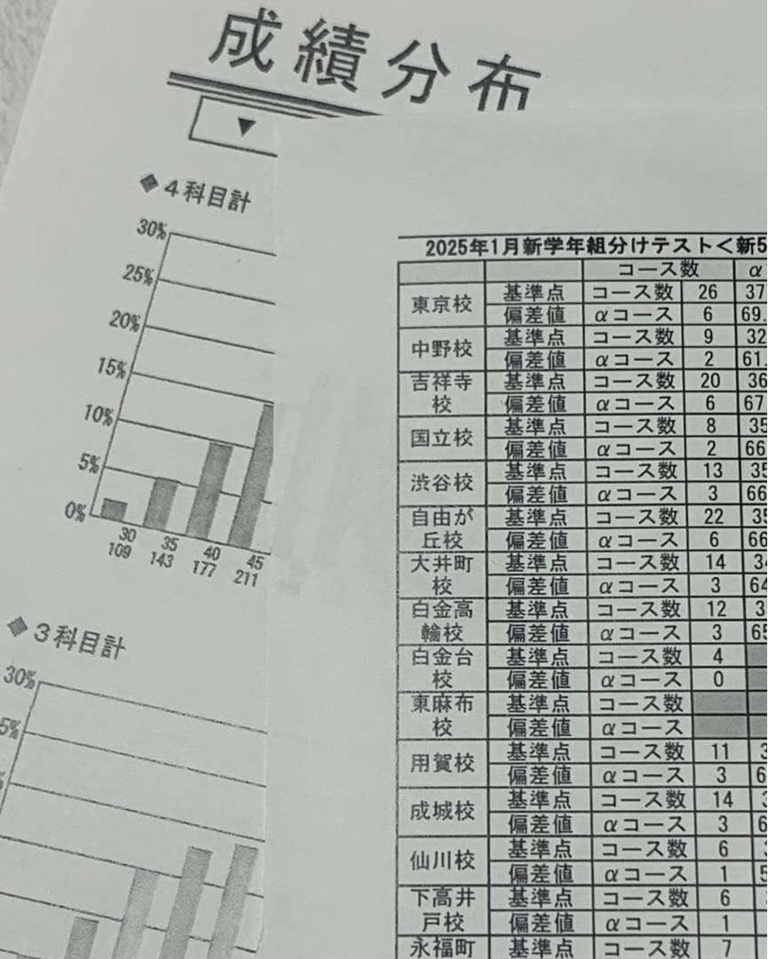 SAPIX 2025年1月新5年(現4年)入室組分けテスト(原本)
