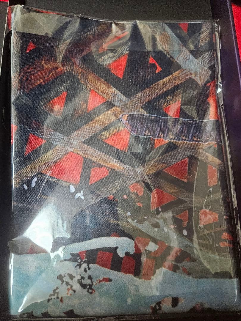 Nintendo Switch Fate/samurai remnant TREASURE BOX