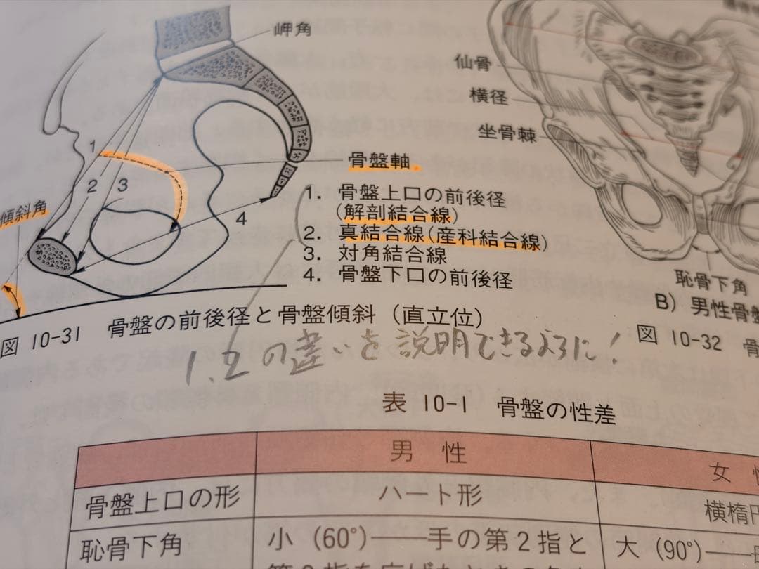 約10年前の鍼灸教科書　14冊(3年分)セット